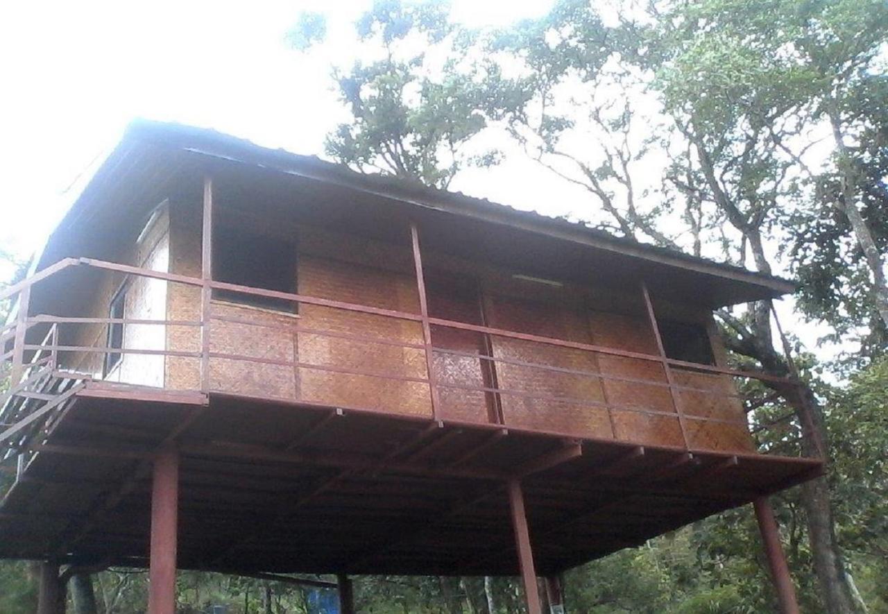 Punarjani Ayurvedic Resorts Ramakkalmedu Εξωτερικό φωτογραφία