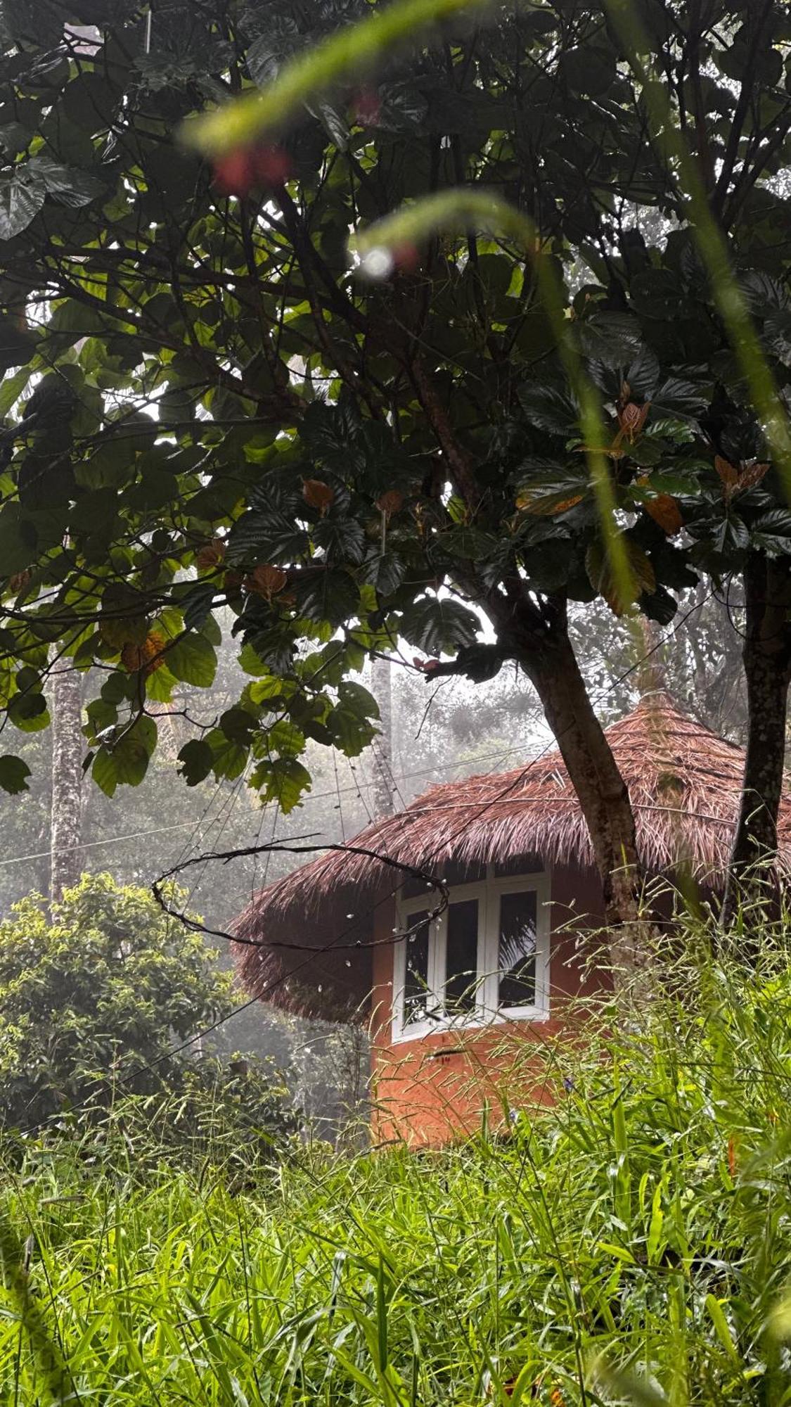 Punarjani Ayurvedic Resorts Ramakkalmedu Εξωτερικό φωτογραφία