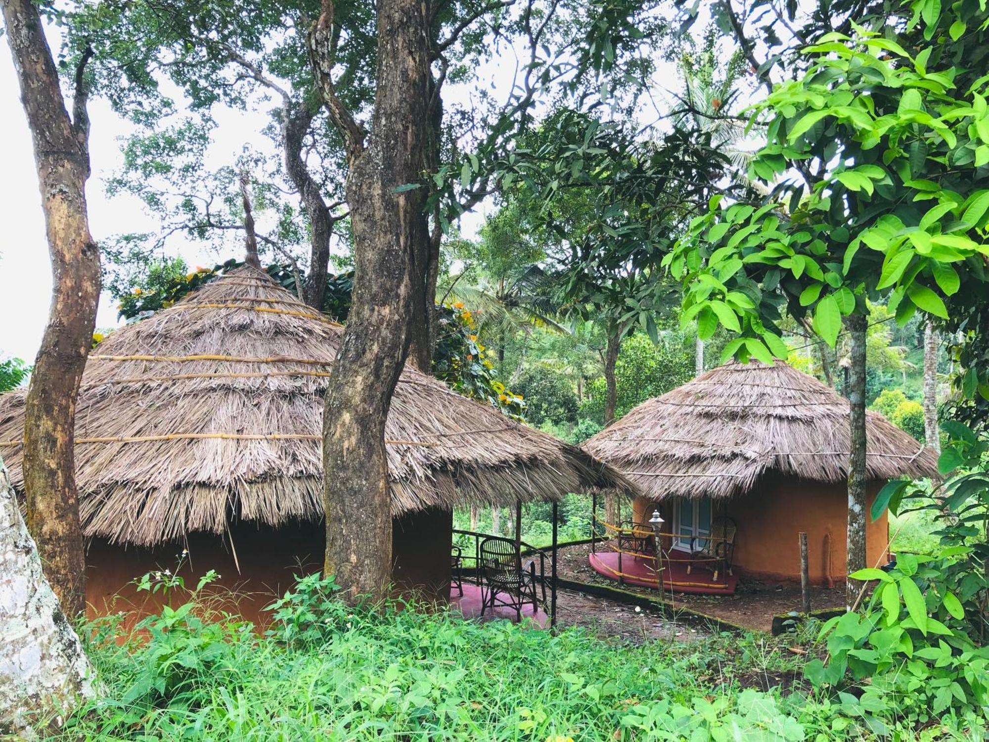 Punarjani Ayurvedic Resorts Ramakkalmedu Εξωτερικό φωτογραφία